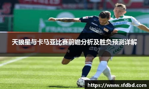 天狼星与卡马亚比赛前瞻分析及胜负预测详解